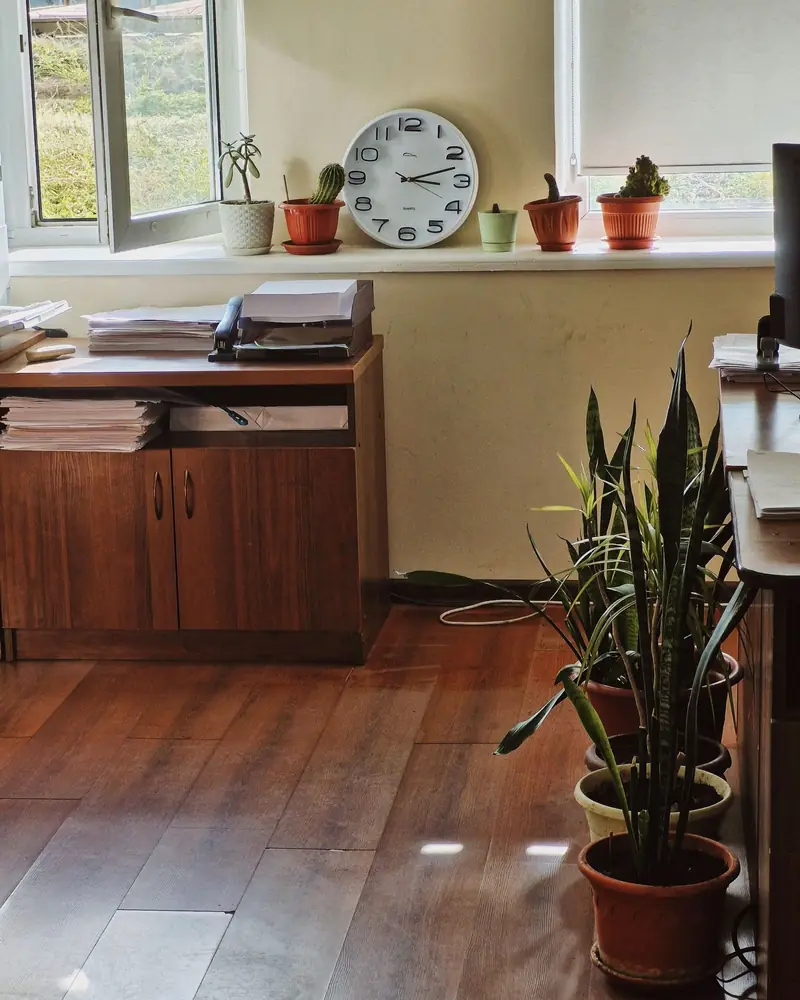 Office with plants