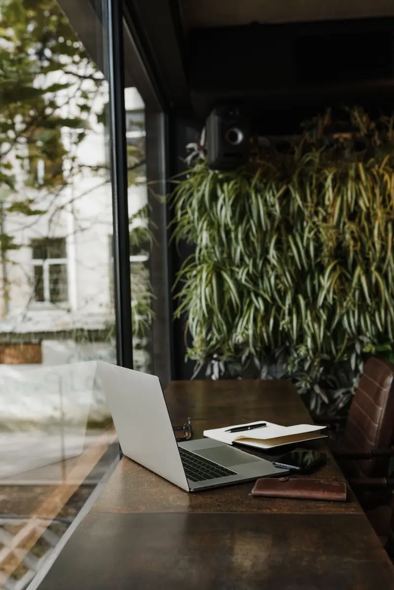 Laptop by the window