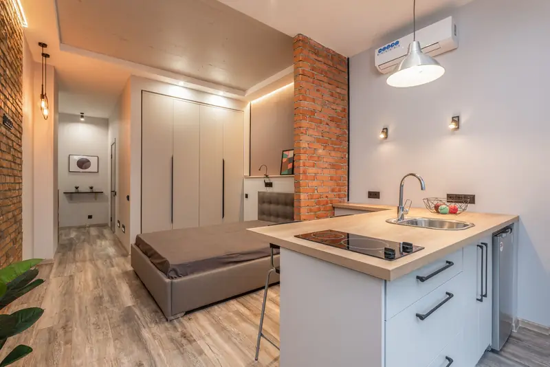 Bed, kitchen and sofa in one room
